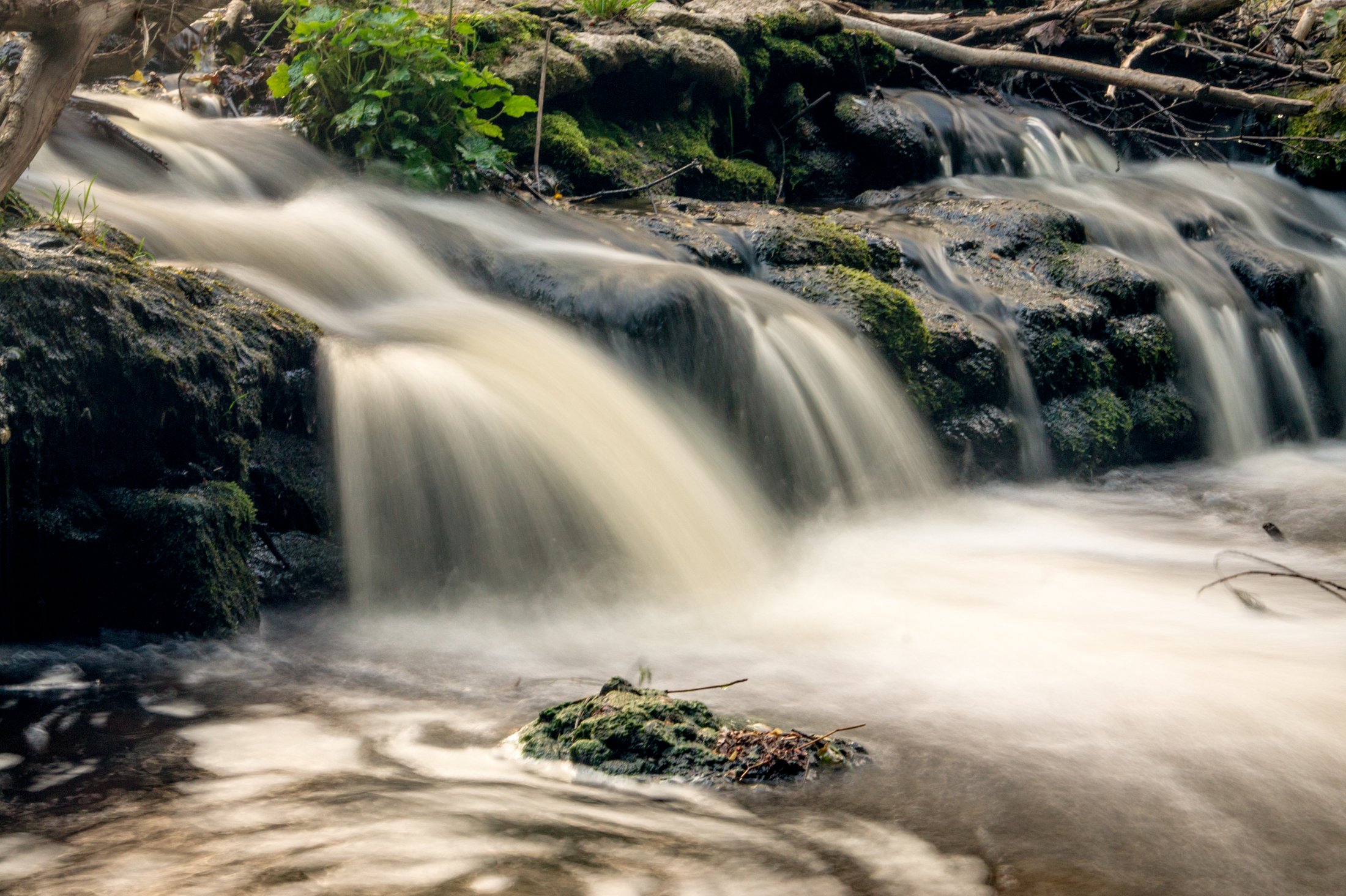 Over the rocks