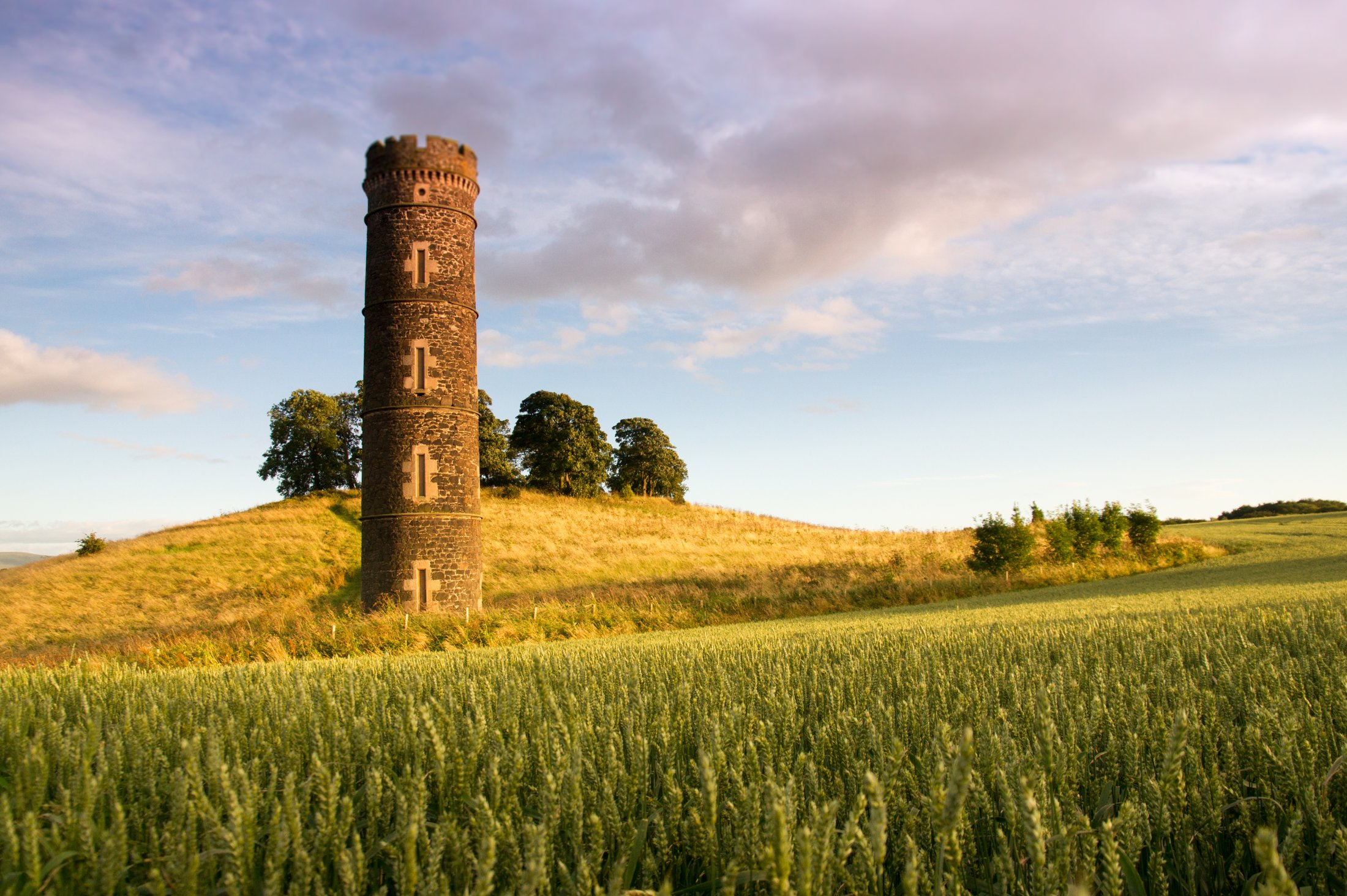 Camo water tower
