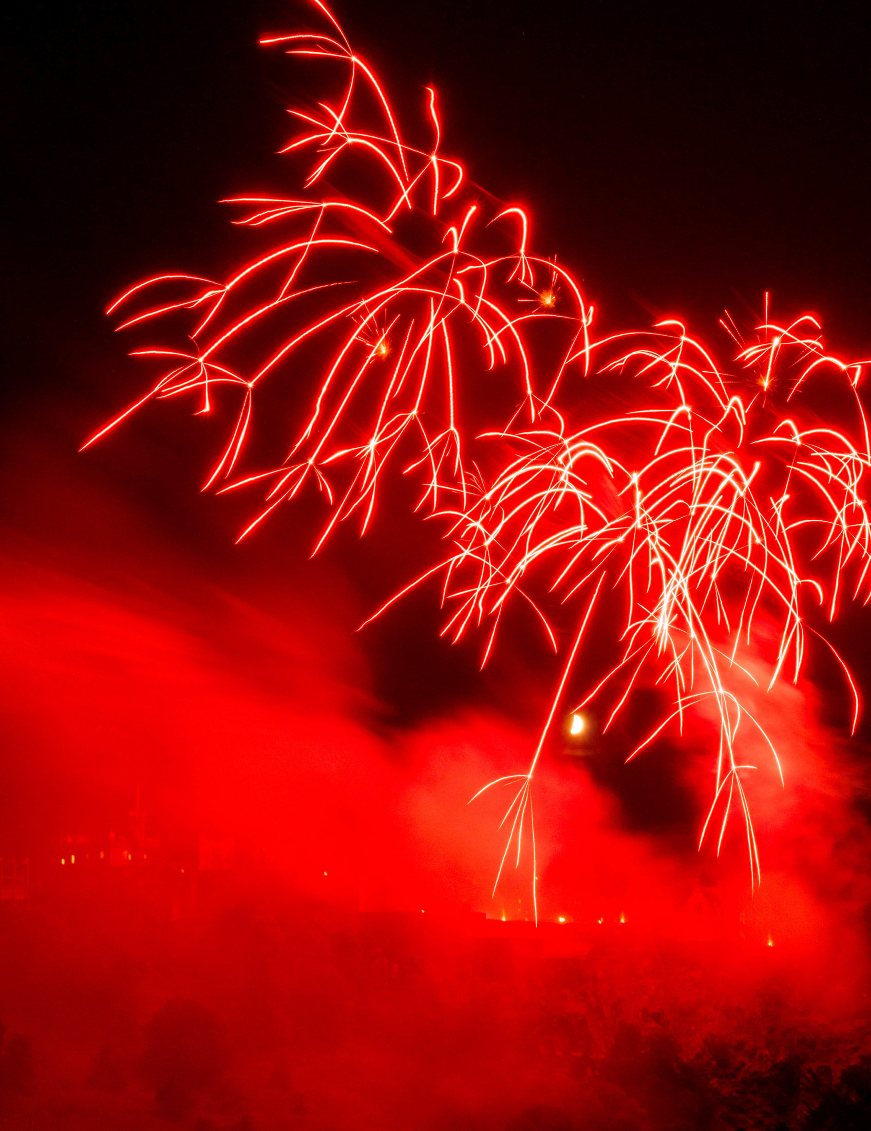 SONY DSC