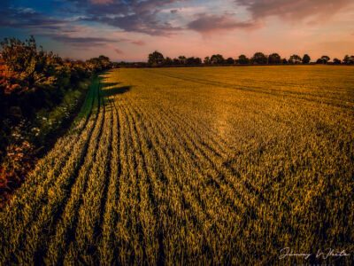 Lincolnshire Sunset